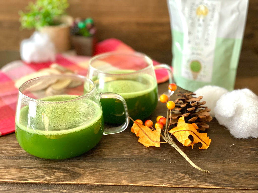 Kuwa Matcha Japanese mulberry leaf powder served as a traditional green tea